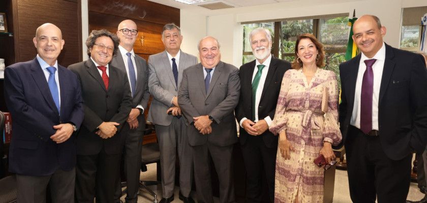 Macaque in the trees