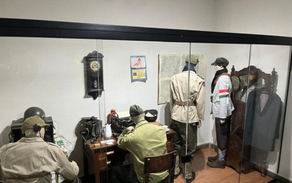 Macaque in the trees