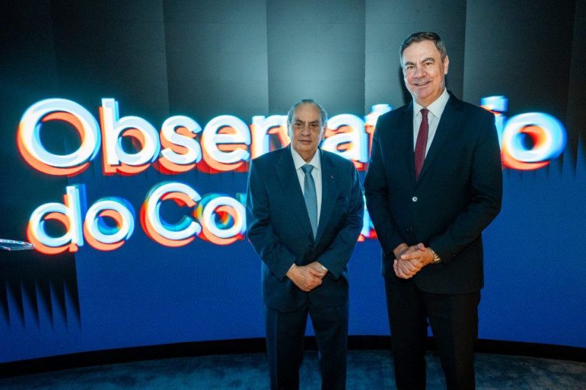 Macaque in the trees