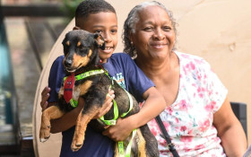 Pets t&ecirc;m entrada liberada em todos os parques, pra&ccedil;as de esporte e bosques de Campinas