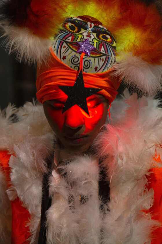 Macaque in the trees