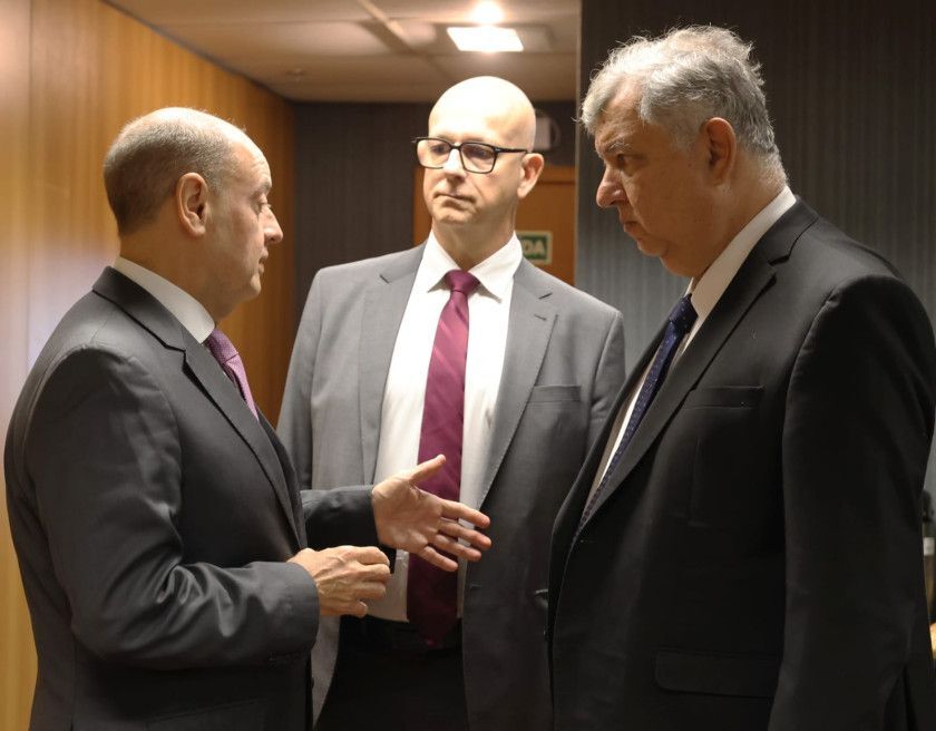 Macaque in the trees