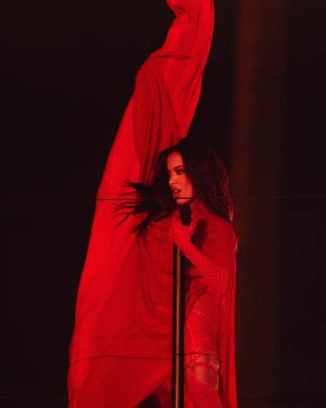 Macaque in the trees