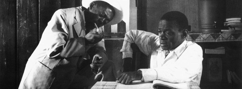 Macaque in the trees