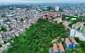 SP e ONU renovam parceria para gest&atilde;o de parques urbanos