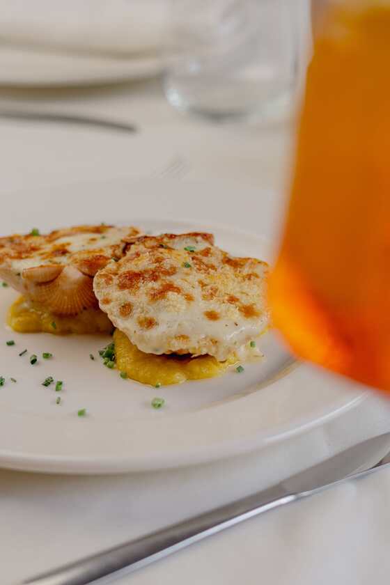 Macaque in the trees
