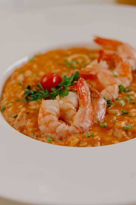 Macaque in the trees