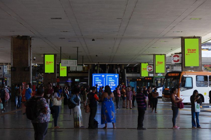 Levantamento da RZK Digital com 1.100 usuários de Wi-Fi na Rodoviária do Plano Piloto revela perfil e poder de compra dos passageiros de ônibus Macaque in the trees