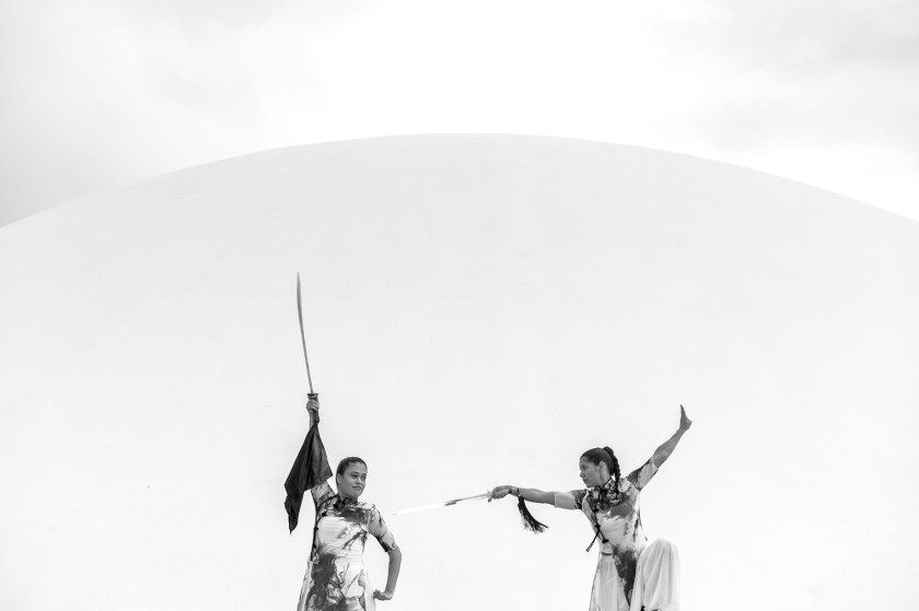 Macaque in the trees