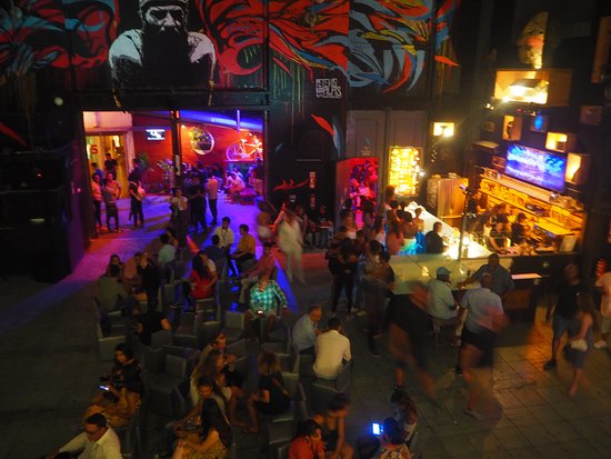 Macaque in the trees