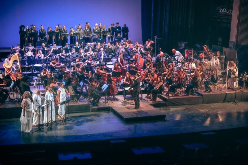 Macaque in the trees