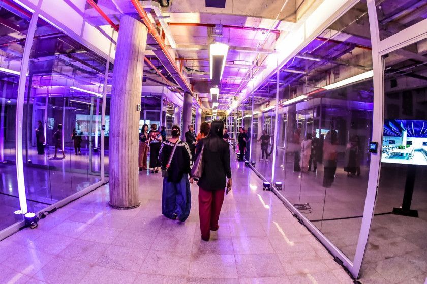 Macaque in the trees