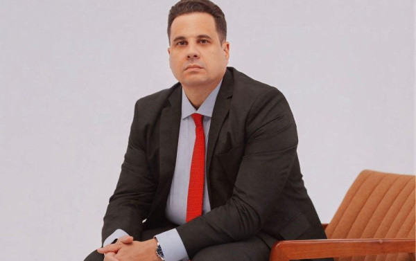 Macaque in the trees