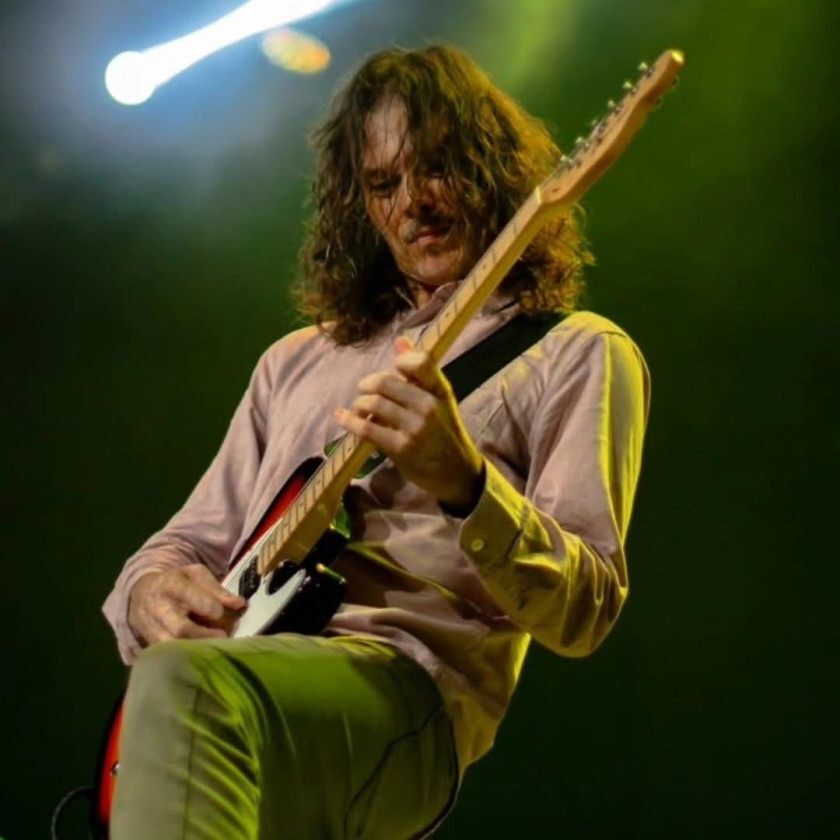 Macaque in the trees