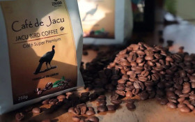 P&aacute;ssaro processa o caf&eacute; mais caro do Brasil