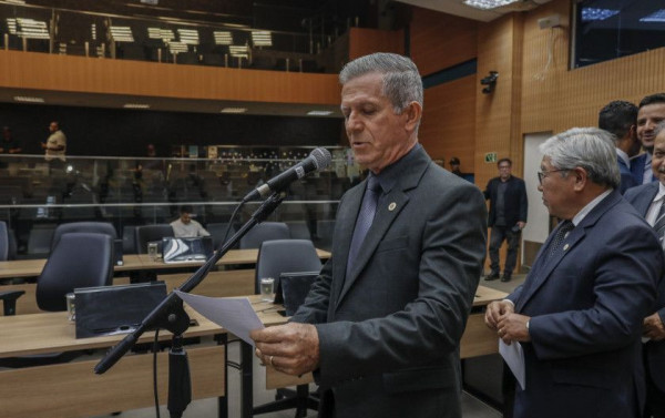 Macaque in the trees