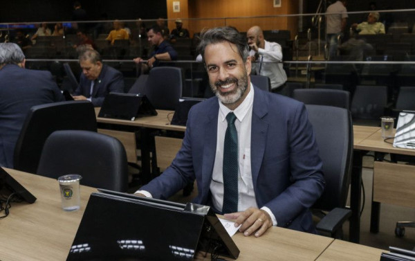 Macaque in the trees