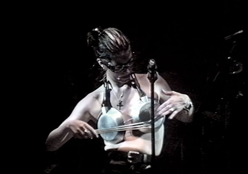 Macaque in the trees