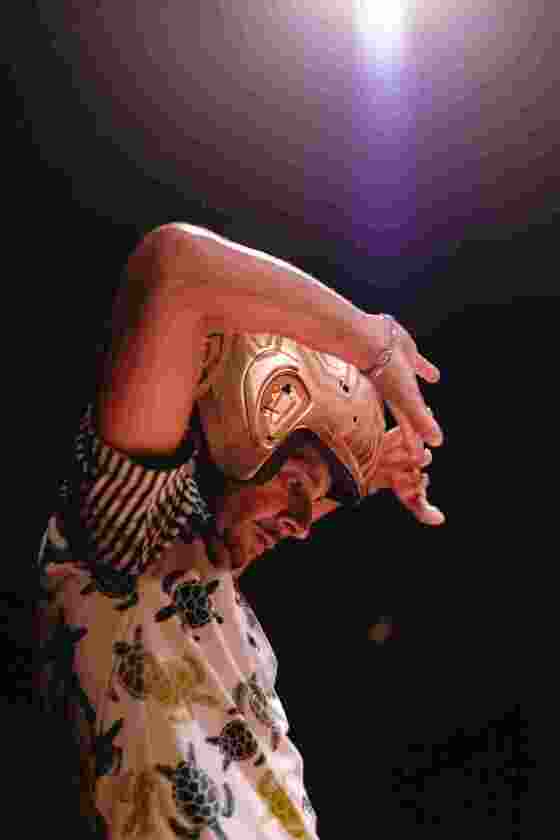 Macaque in the trees