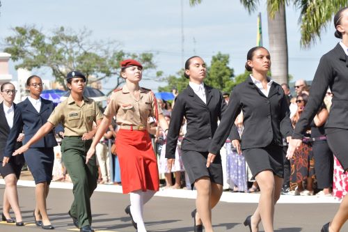 Macaque in the trees