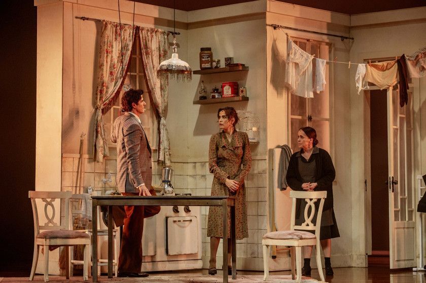 Macaque in the trees