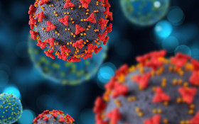 Nova subvariante da Covid-19 &eacute; monitorada no exterior