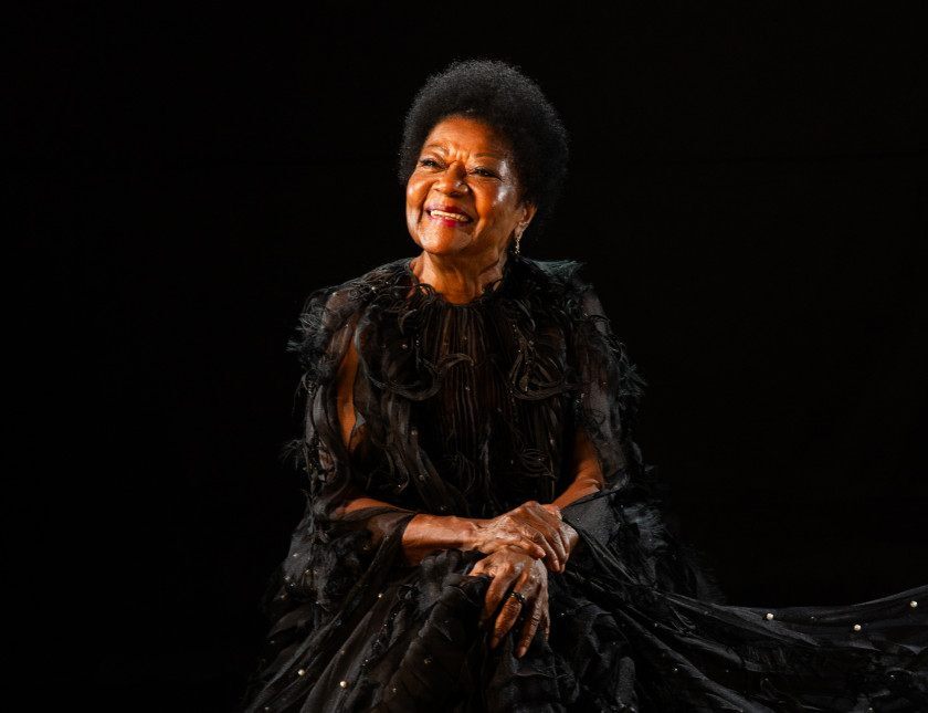 Macaque in the trees