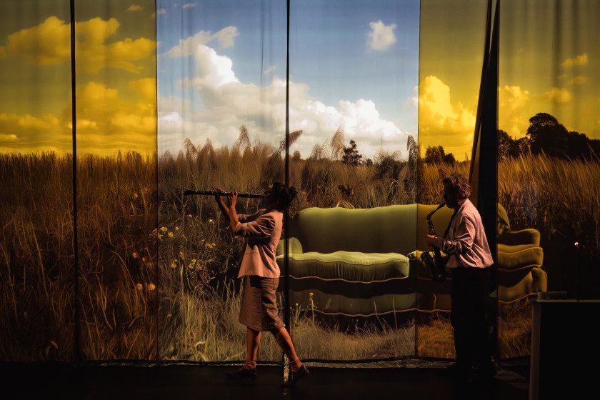 Macaque in the trees