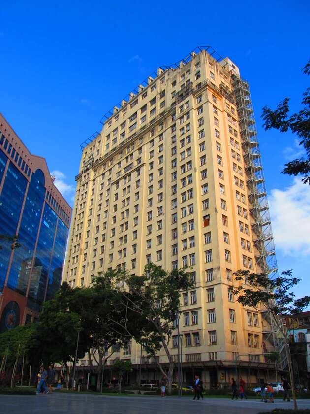 Macaque in the trees