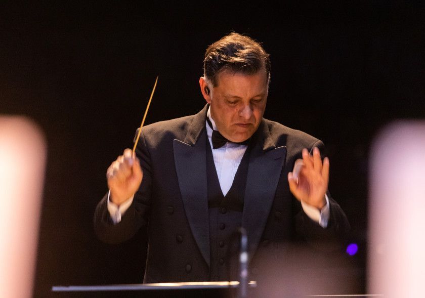 Macaque in the trees