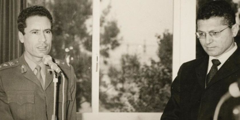 Macaque in the trees