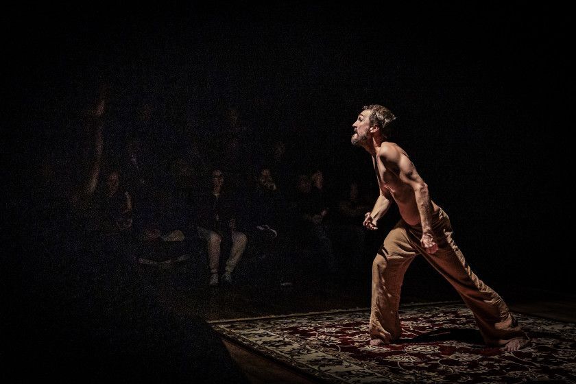 Macaque in the trees