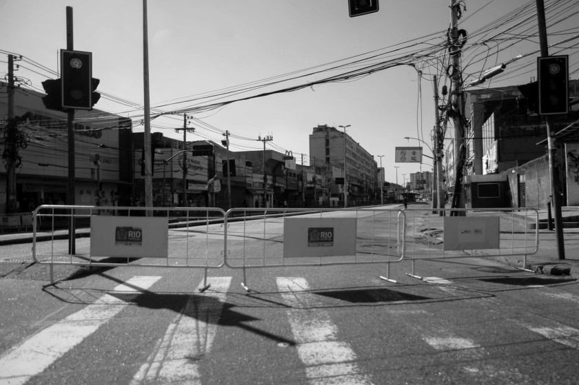 Macaque in the trees