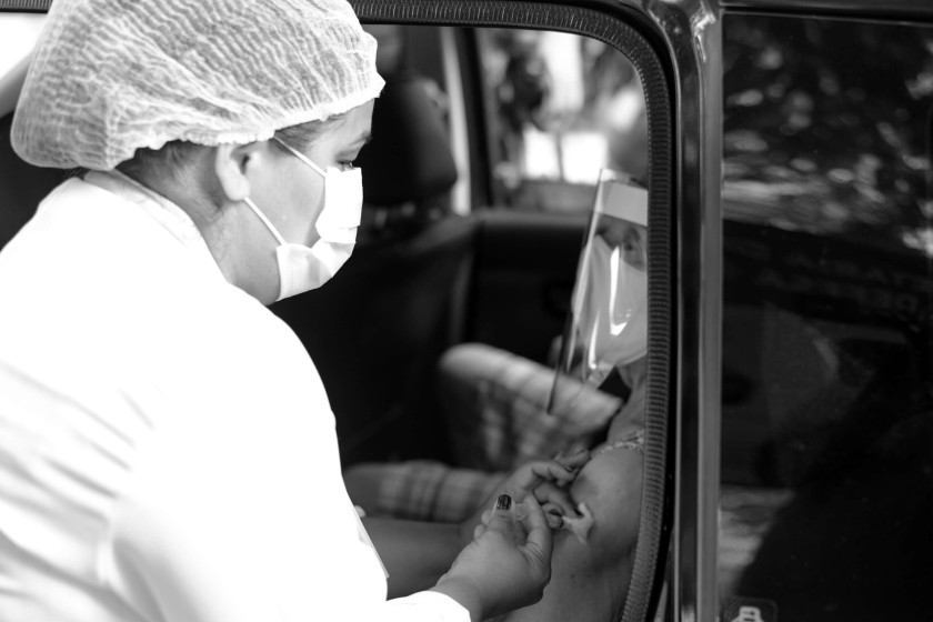 Macaque in the trees