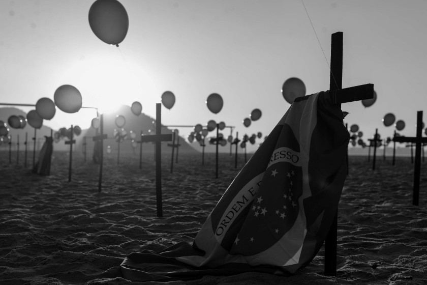 Macaque in the trees