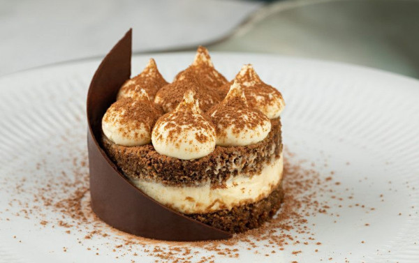 Macaque in the trees