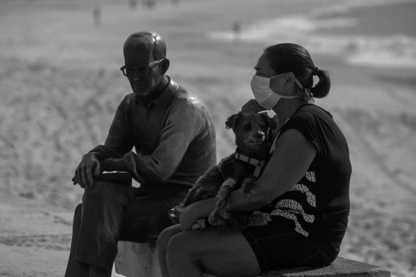 Macaque in the trees