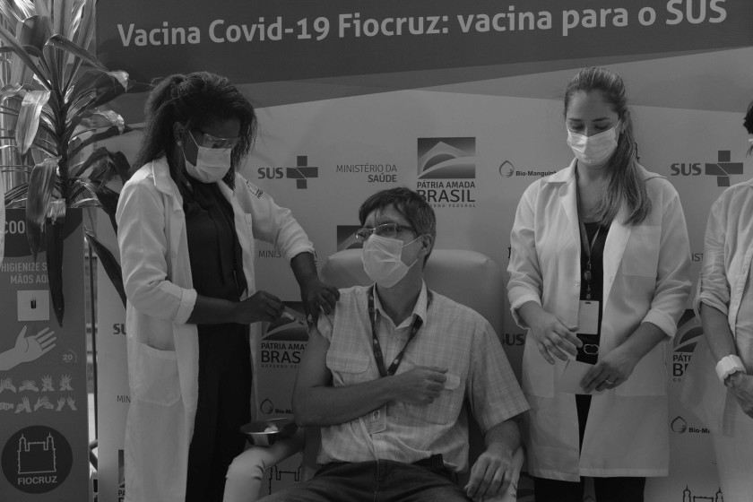 Macaque in the trees