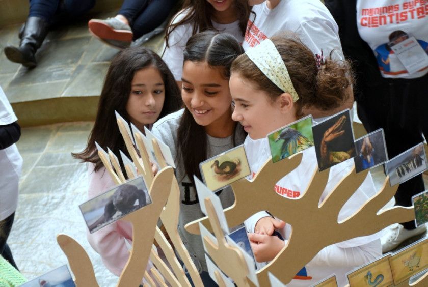 Macaque in the trees