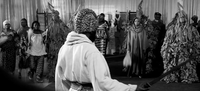 Macaque in the trees