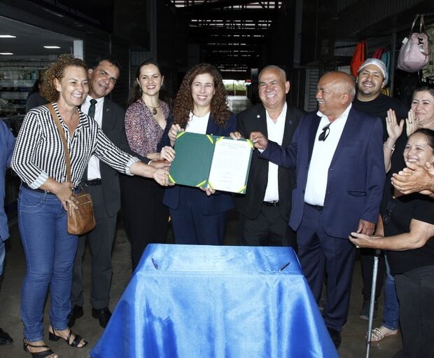 Macaque in the trees