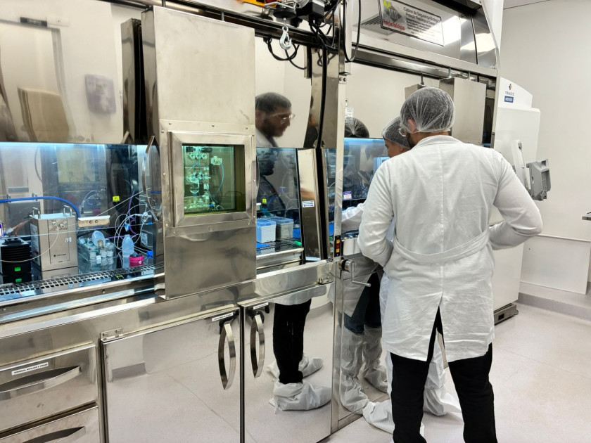 Macaque in the trees