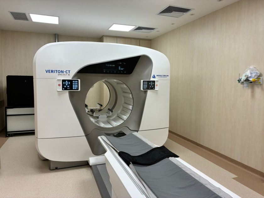 Macaque in the trees