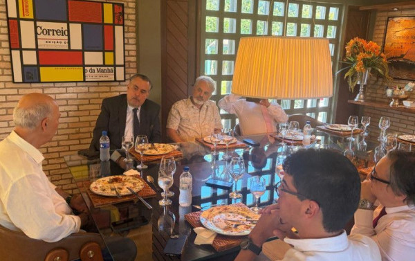 Macaque in the trees