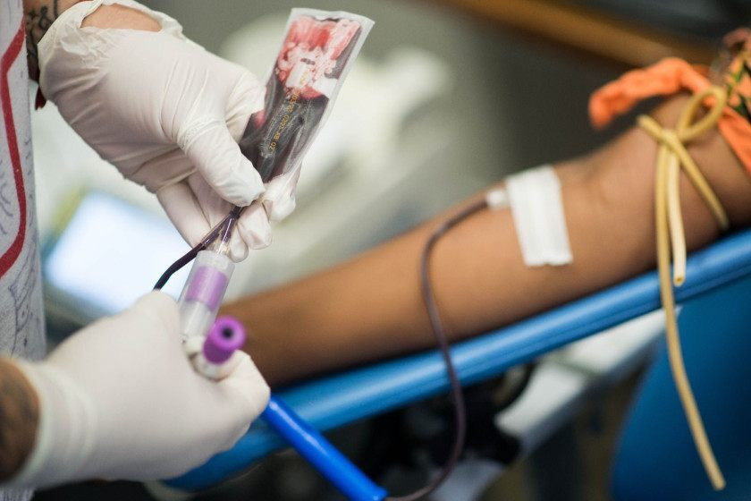 14 de junho: Dia Mundial do Doador de Sangue