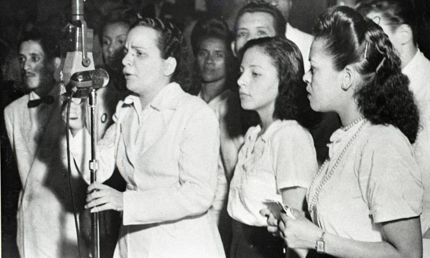 Macaque in the trees