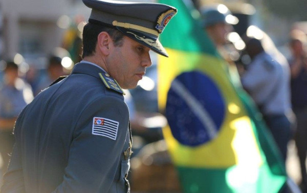 Macaque in the trees