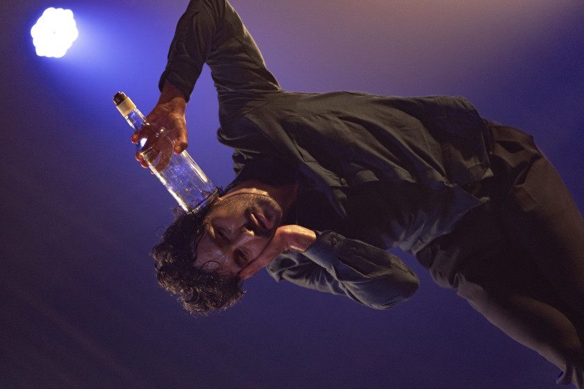 Macaque in the trees