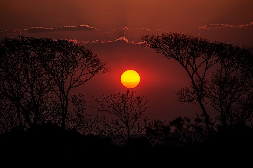 Mostra reúne 20 séries fotográficas selecionadas no primeiro edital do prêmio Macaque in the trees