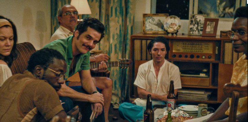 Macaque in the trees